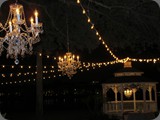 IMG_0980